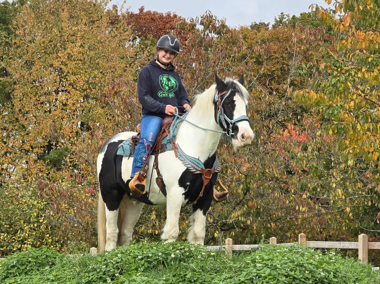 Tinker Wałach 6 lat 150 cm Srokata in Linkenbach