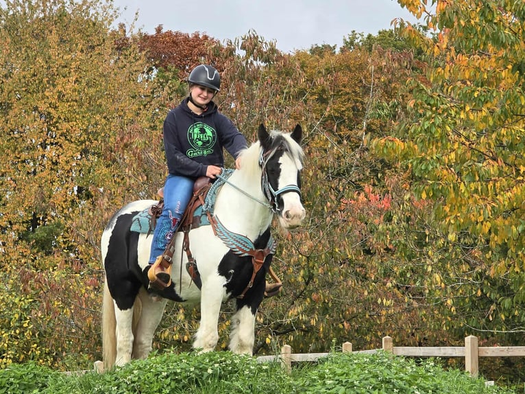Tinker Wałach 6 lat 150 cm Srokata in Linkenbach