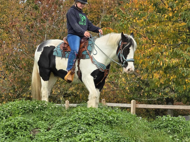 Tinker Wałach 6 lat 150 cm Srokata in Linkenbach