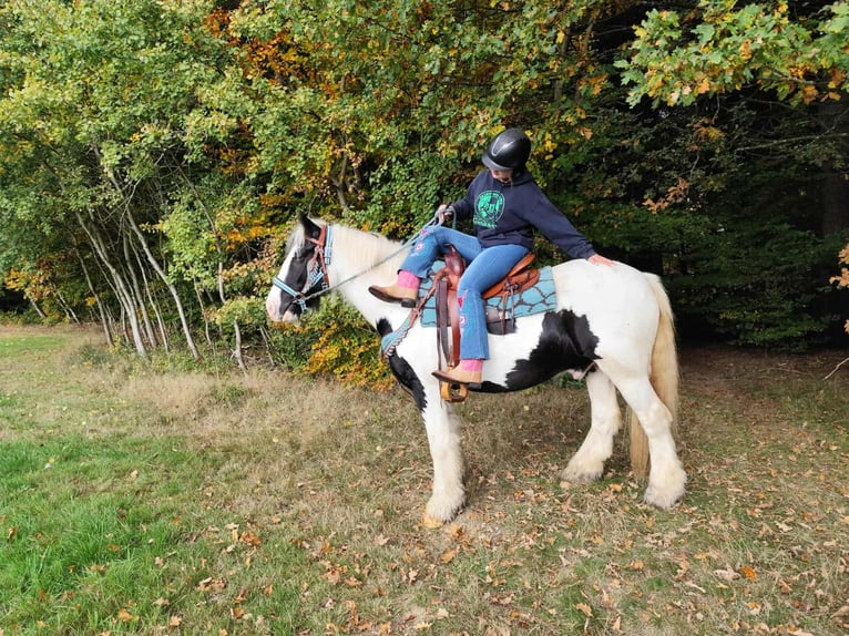 Tinker Wałach 6 lat 150 cm Srokata in Linkenbach