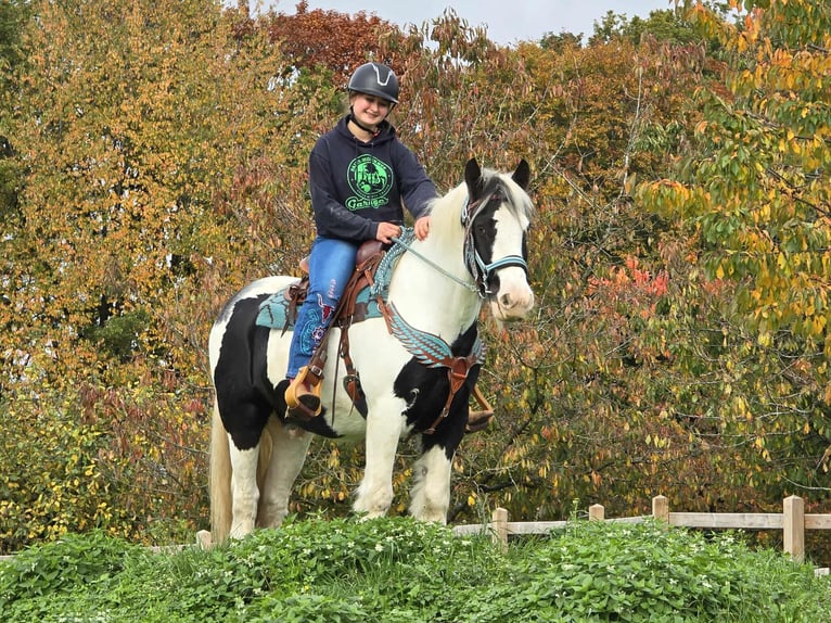 Tinker Wałach 6 lat 150 cm Srokata in Linkenbach