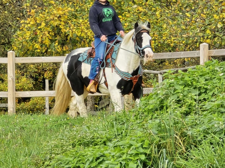 Tinker Wałach 6 lat 150 cm Srokata in Linkenbach
