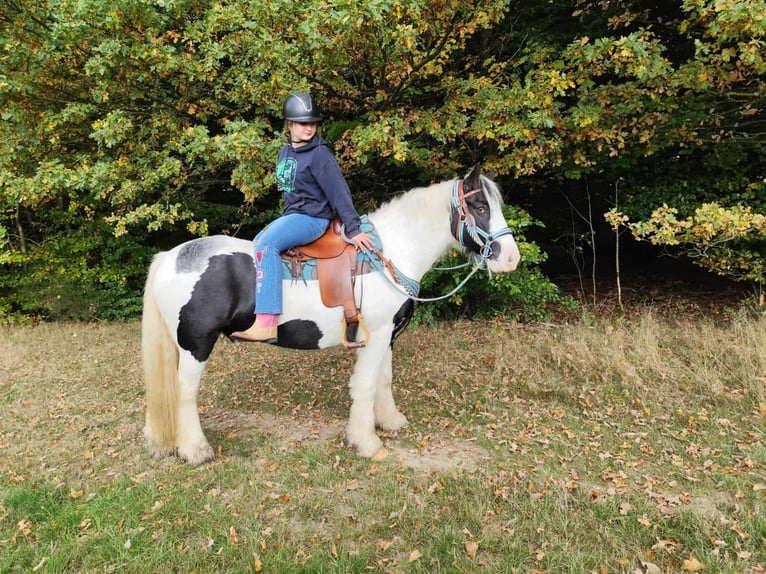 Tinker Wałach 6 lat 150 cm Srokata in Linkenbach
