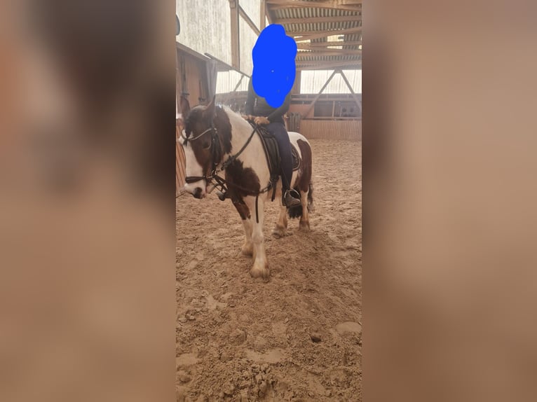 Tinker Wałach 8 lat 140 cm Srokata in Bad Dürrheim