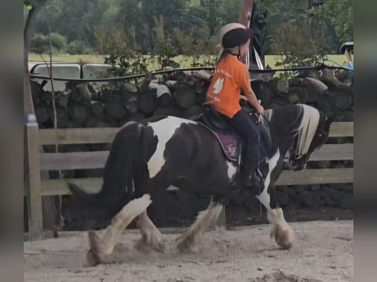 Tinker Wałach 9 lat 129 cm Srokata in Langennaundorf