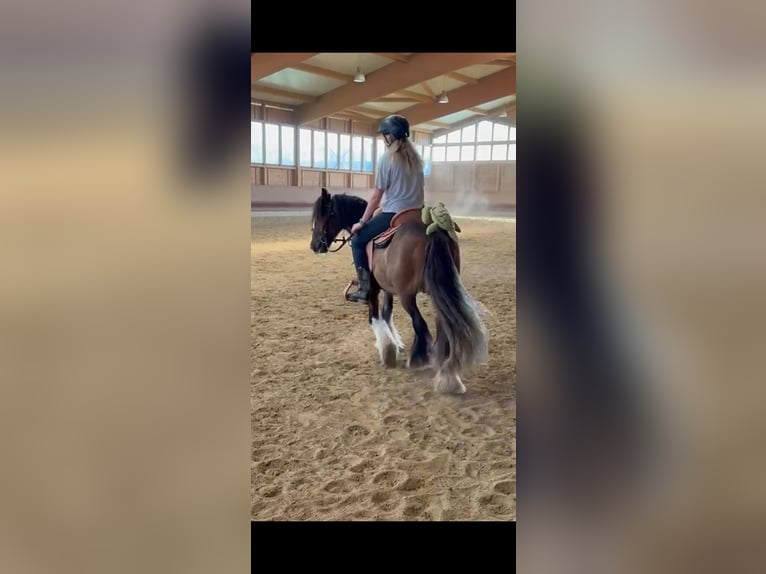 Tinker Wallach 3 Jahre 130 cm Tobiano-alle-Farben in Achstetten