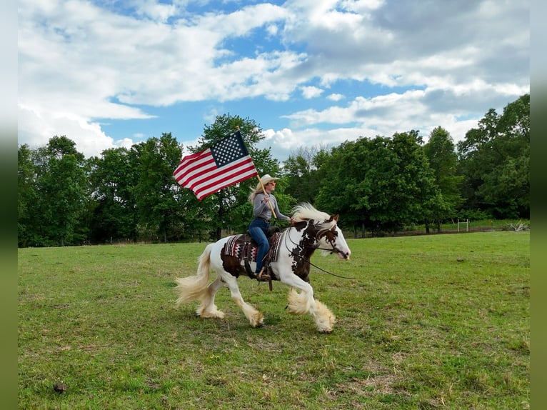 Tinker Wallach 3 Jahre 142 cm Tobiano-alle-Farben in Quitman, AR