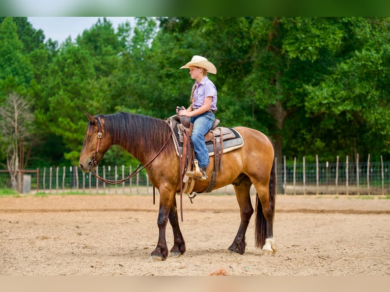 Tinker Mix Wallach 3 Jahre Rotbrauner in Bloomburg