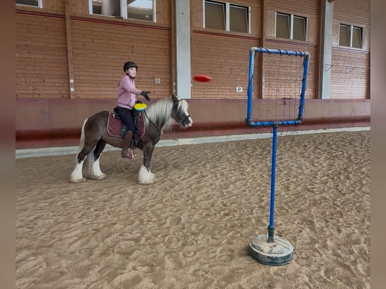 Tinker Wallach 4 Jahre 132 cm Dunkelfuchs in Achstetten