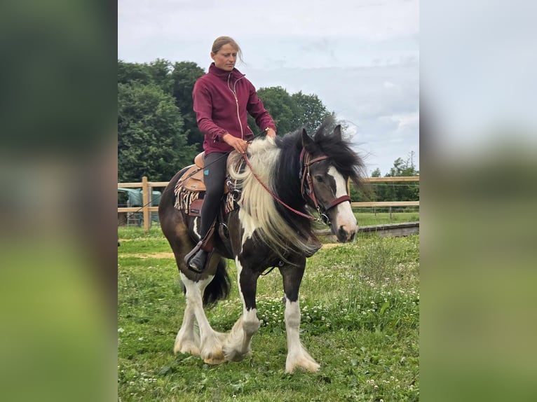 Tinker Mix Wallach 7 Jahre 154 cm Schecke in Linkenbach