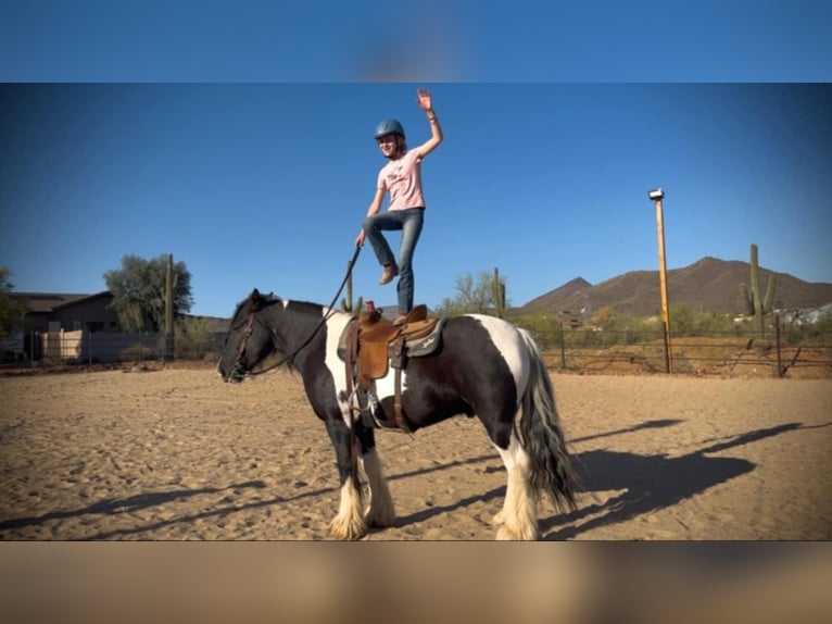 Tinker Wallach 7 Jahre 157 cm in New River, AZ