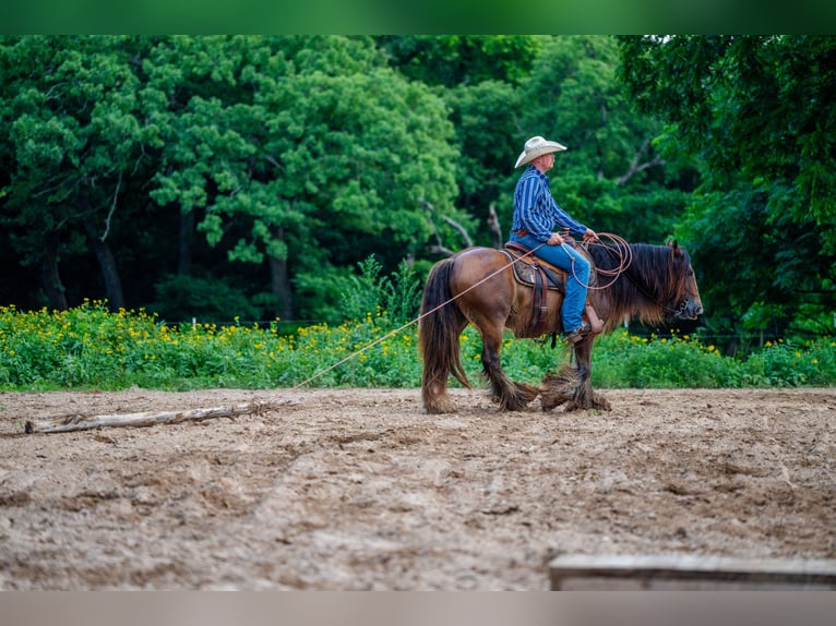 Tinker Wallach 8 Jahre 142 cm Rotbrauner in Alvord