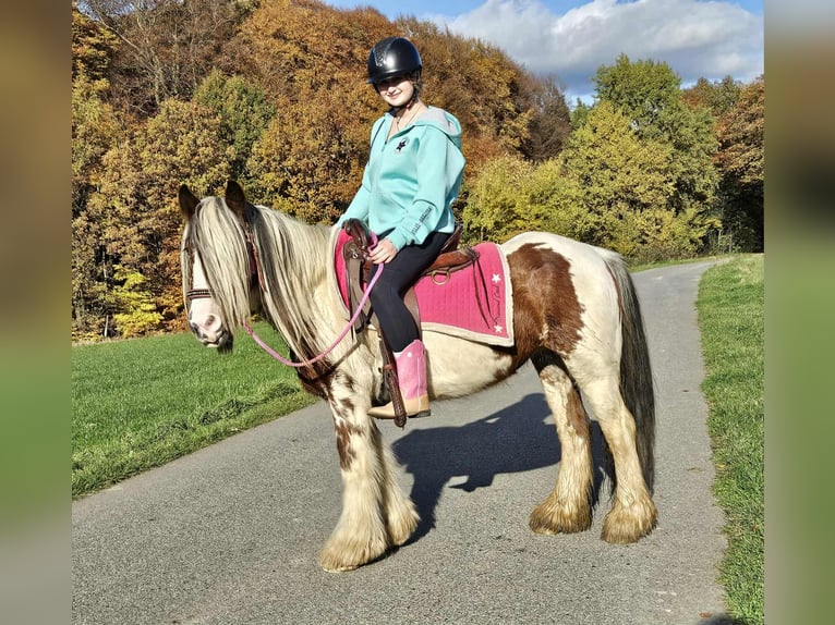 Tinker Yegua 10 años 144 cm Pío in Linkenbach