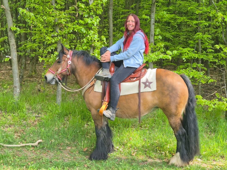 Tinker Yegua 15 años 142 cm Castaño in Linkenbach