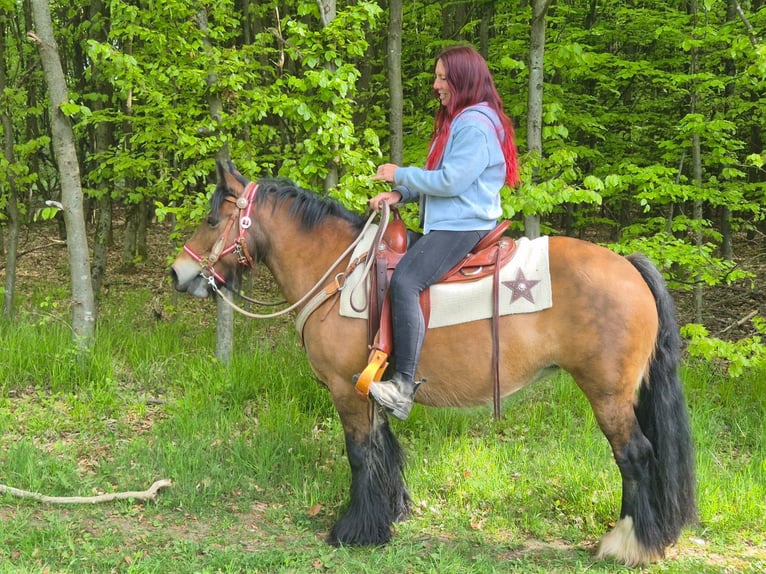 Tinker Yegua 15 años 142 cm Castaño in Linkenbach