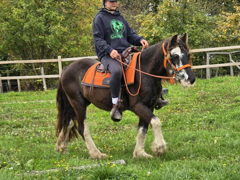 Tinker Yegua 4 años 130 cm Pío in Linkenbach