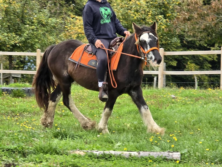 Tinker Yegua 4 años 130 cm Pío in Linkenbach