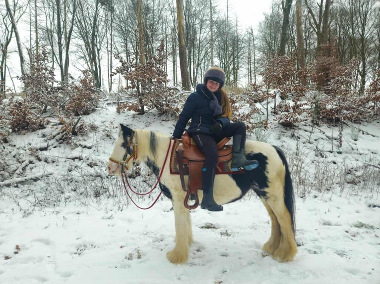 Tinker Yegua 5 años 135 cm Pío in Linkenbach