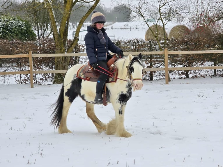 Tinker Yegua 5 años 135 cm Pío in Linkenbach