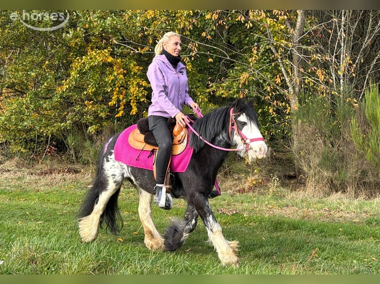 Tinker Yegua 7 años 131 cm Pío in Linkenbach