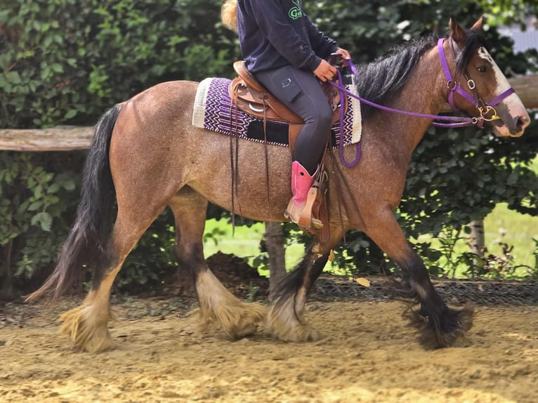 Tinker Yegua 7 años 140 cm Castaño in Linkenbach