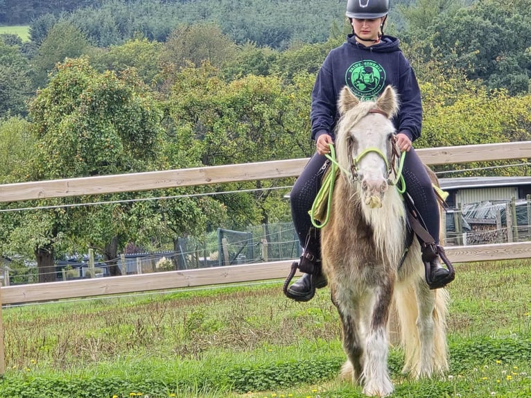 Tinker Yegua 7 años Palomino in Linkenbach