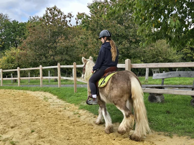 Tinker Yegua 7 años Palomino in Linkenbach