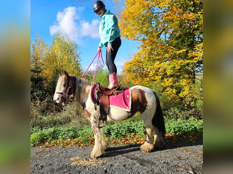 Tinker Yegua 9 años 144 cm Pío in Linkenbach Tinker Yegua 9 años 144 cm Pío in Linkenbach