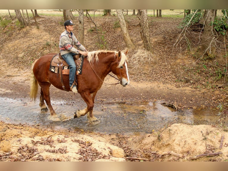 Trait belge Hongre 9 Ans Alezan brûlé in Rusk
