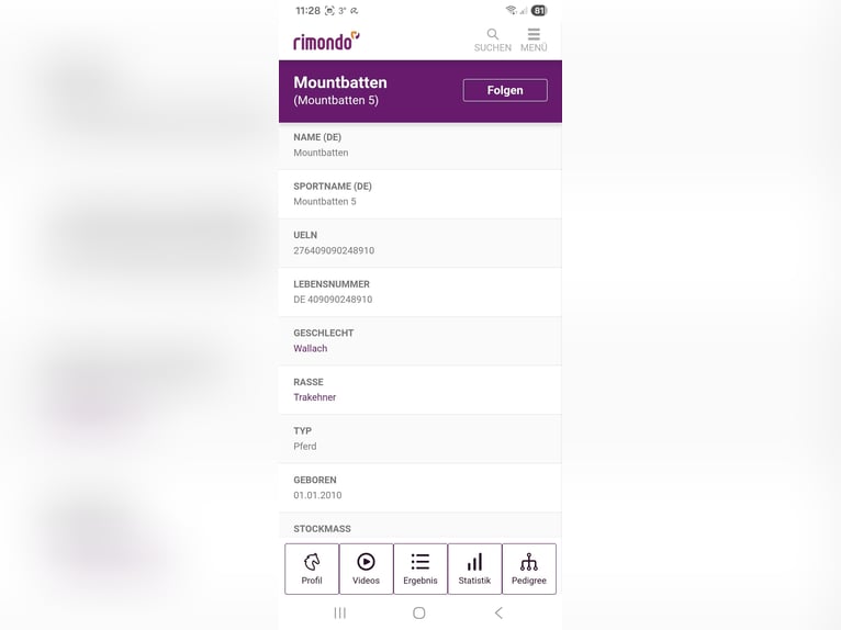 Trakehner Hongre 15 Ans 175 cm Bai in Erolzheim