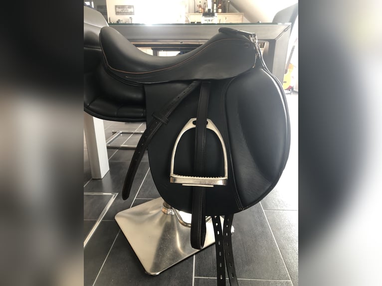 Trakehner Jument 5 Ans 170 cm Bai in Bannemin