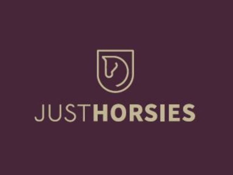 Trakehner Mare 11 years 16.1 hh Brown in Jægerspris