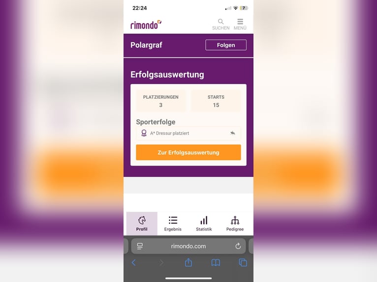 Trakehner Ruin 16 Jaar 171 cm Bruin in G&#xFC;nzburg