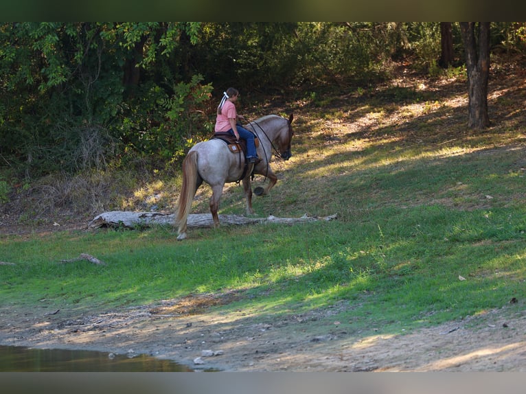 Trekpaard Mix Ruin 11 Jaar Roan-Red in Terrell
