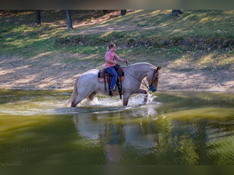 Trekpaard Mix Ruin 11 Jaar Roan-Red in Terrell