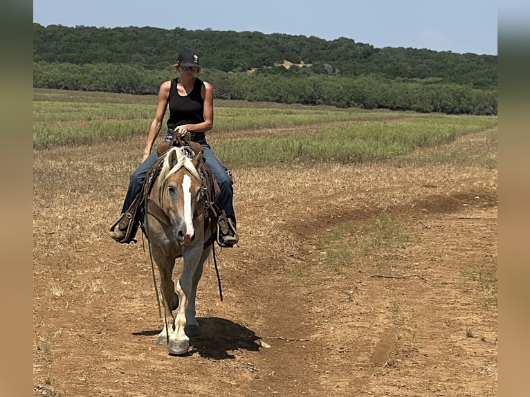 Trekpaard Mix Ruin 4 Jaar 155 cm Roodvos in Jacksboro,TX