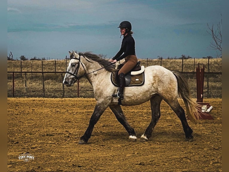 Trekpaard Ruin 4 Jaar 157 cm Buckskin in Jacksboro