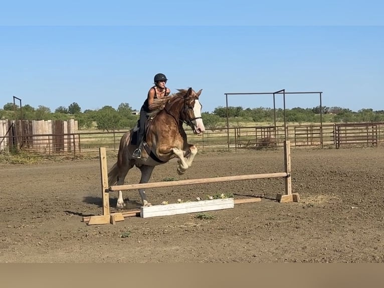 Trekpaard Mix Ruin 4 Jaar 173 cm Roodvos in Jacksboro