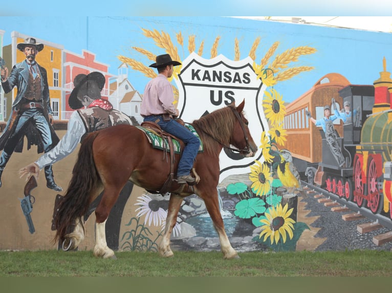 Trekpaard Mix Ruin 4 Jaar Donkere-vos in Baxter Springs