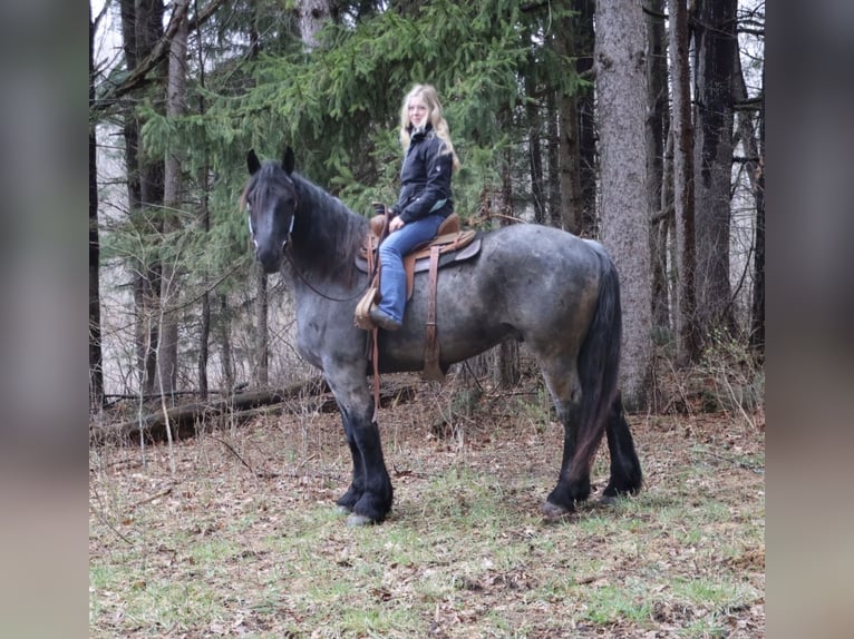 Trekpaard Mix Ruin 4 Jaar Roan-Blue in Howell