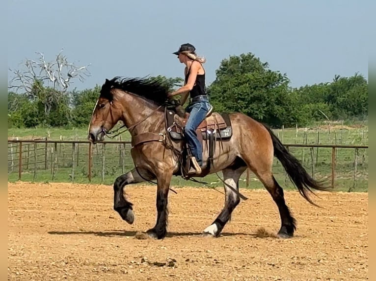 Trekpaard Mix Ruin 4 Jaar Roodbruin in Weatherford