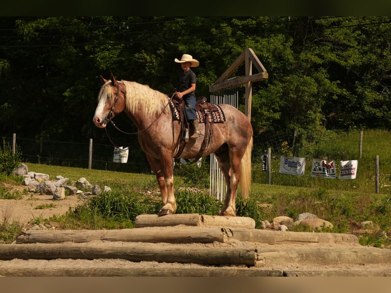 Trekpaard Mix Ruin 6 Jaar Roan-Red in Fresno