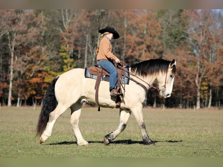 Trekpaard Mix Ruin 7 Jaar 157 cm Buckskin in Clarion