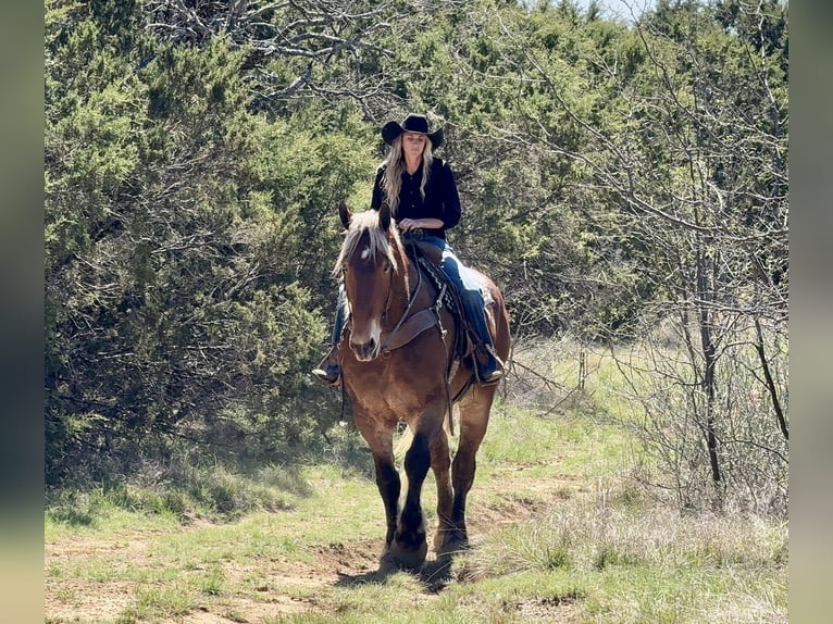 Trekpaard Mix Ruin 7 Jaar 183 cm Roodbruin in Weatherford