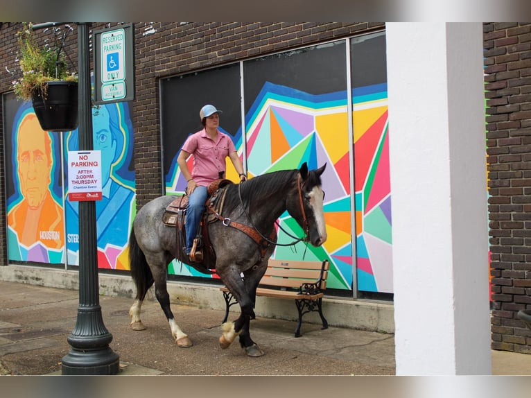 Trekpaard Ruin 9 Jaar 165 cm Roan-Blue in Rusk TX