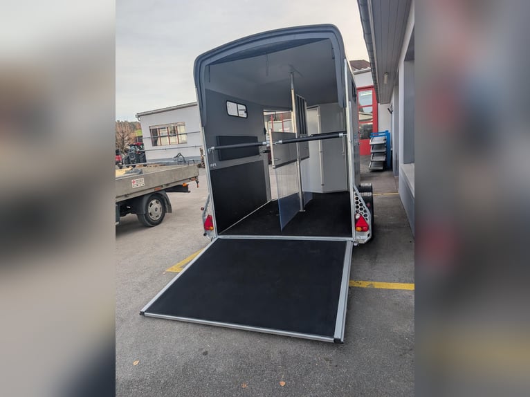 2-axige Touring XL paardentrailer met vooruitgang en achteruitgang