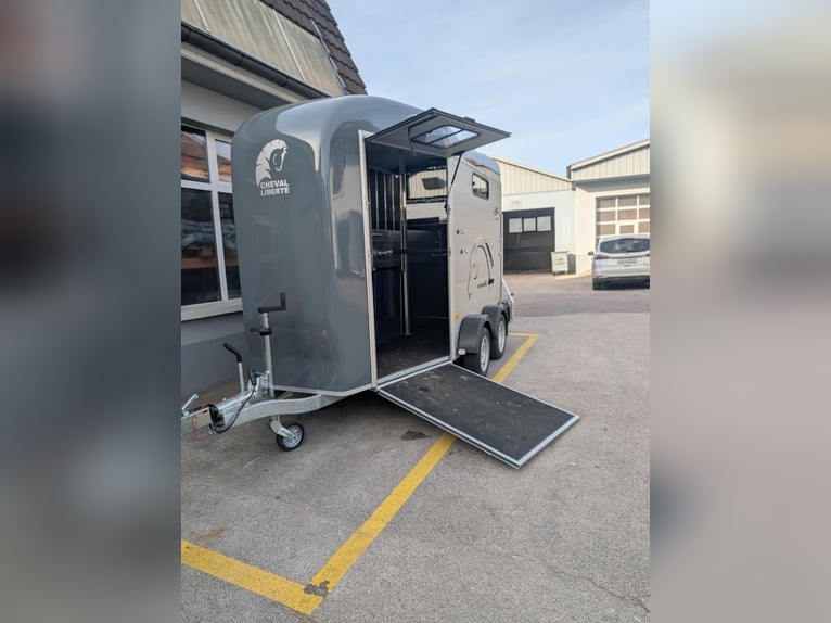 2-axige Touring XL paardentrailer met vooruitgang en achteruitgang