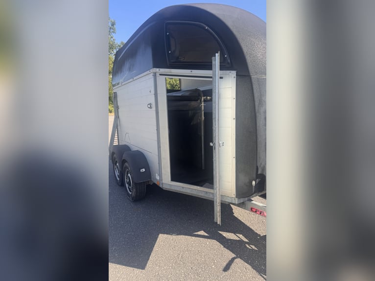 Böckmann Champion R – aluminiumvloer, nieuwe TÜV-keuring geldig tot 04/2028, grote zadelkamer, rem i