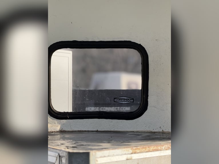 Böckmann Portax Prof. | Bekend uit Wehorse-cursussen | Aluminium, 100 km/u, verlichting & ruimte