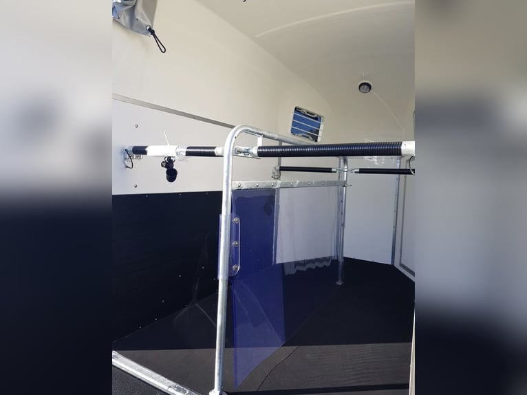 Duo Bockmann Esprit 2021, nieuw